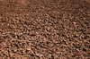 Rock Texture