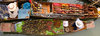 Floating Market 2