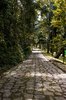 A peaceful path