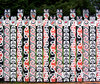 fence, painted Maori style