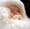 Christmas cheer