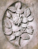 Stony Rose
