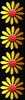 Daisy chain