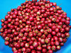 Cranberries in a blue bowl
