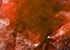 frozen blood
