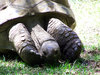 Both feet first