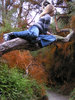 reclining on the branch