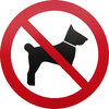 No dogs allowed