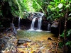 Hidden Pool