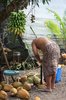 Tropical food