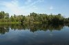 Easy reflection