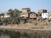 Banks of the Nile