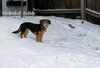 Powderhound!