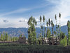 Picturesque Countryside