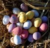 eggs on straw