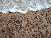 Pebble beach 1