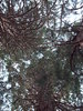 Looking up!