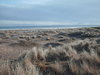 Winter beach