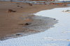 Winter beach 5