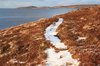 Winter path