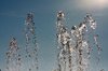 Water jet