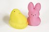 Easter Competition