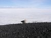 Antarctica