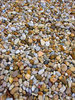 Gravel Walkway