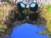 Culverts