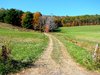 To the Woods
