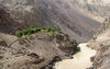 Farm in the Himalayas