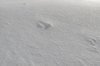 Snow crust - HDR
