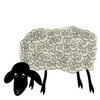 Munching Sheep