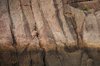 Low tide texture