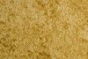 Mottled Canvas