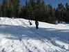 Sledding