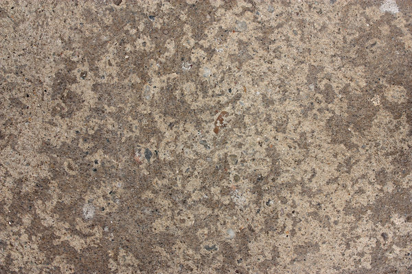 texture: no description