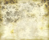 Grunge Leaves Background