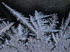 Frost on glass