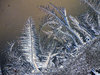 Ice sculptures 1