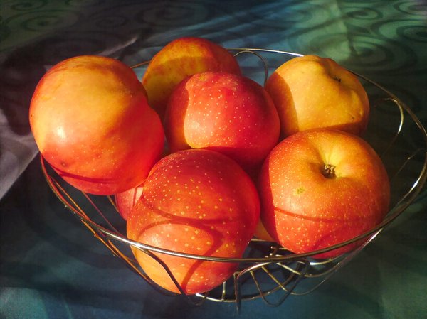 Apple: No description