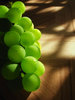 GRAPE