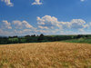 landscapes