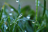 drops