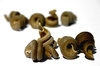 Pasta Composition  2