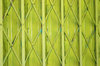 green gate