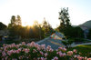 suburban morning