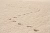 Footsteps