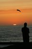 sunset series epilogue