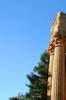 greek columns
